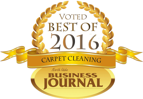 Best Water Damage and Carpet Cleaner of 2016