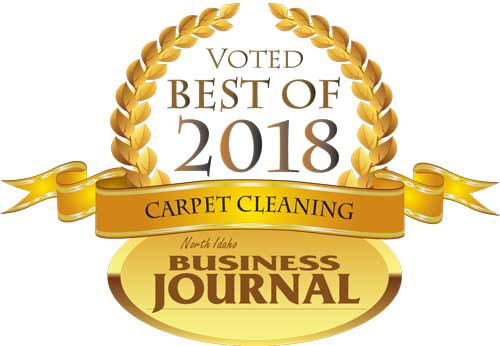 Best Carpet Cleaning 2018
