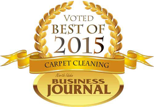 Best Water Damage and Carpet Cleaner of 2015