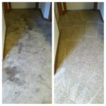 A comparison of a before and after white carpet cleaning.