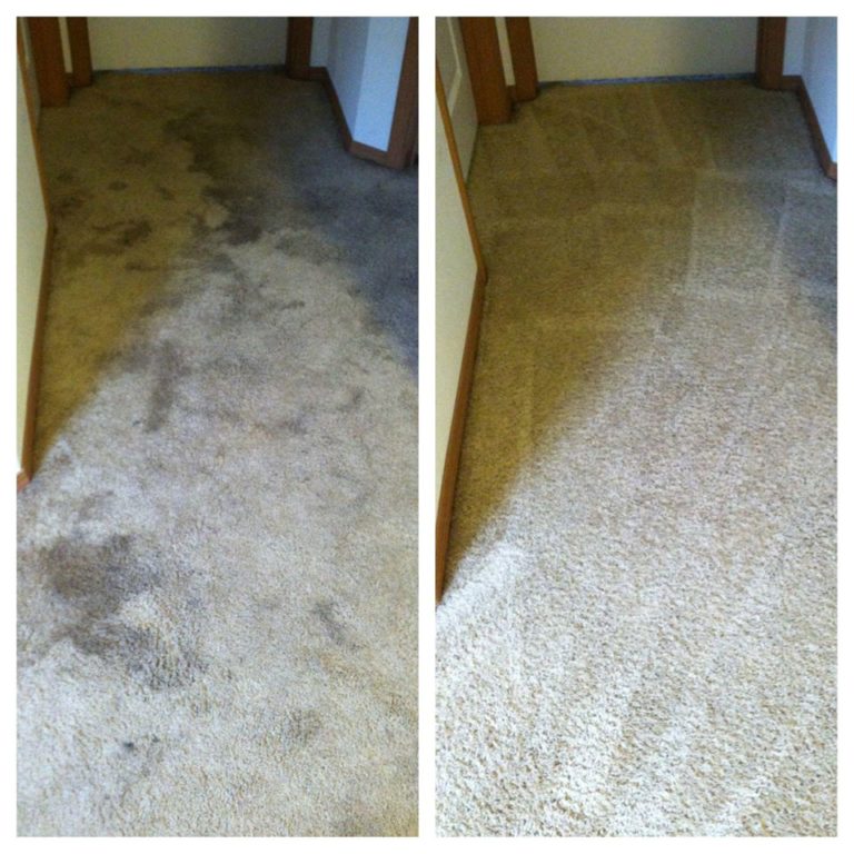 The 1 for Carpet Cleaning in Spokane & Spokane Valley, WA 1200+ 5Star Reviews