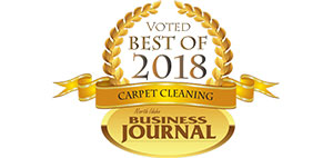 Best Carpet Cleaner 2018