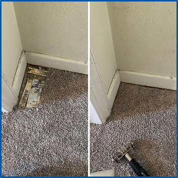 Carpet Stretching & Repair