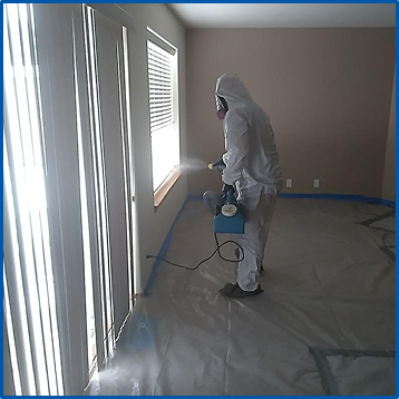 Mold Removal & Mold Remediation in Idaho and Washington