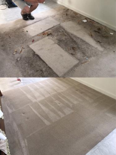 Carpet Cleaning before and after image 4.
