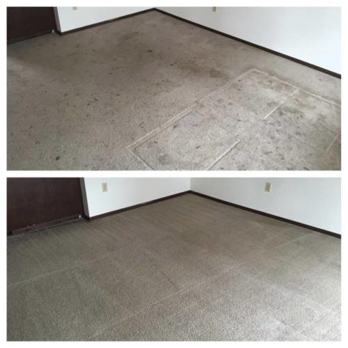 Carpet Cleaning before and after image 1.